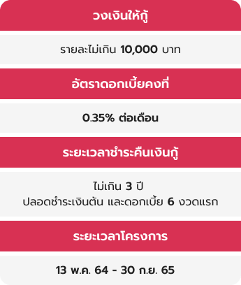 loan detail